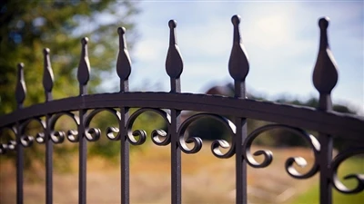 Spear Tubulari Metal Steel Fence Wrought Garden Ħadid Ċint